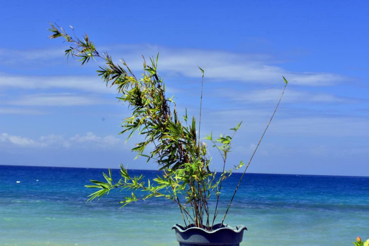 Mlk Bamboo Beachhouse Alegria  Exterior foto